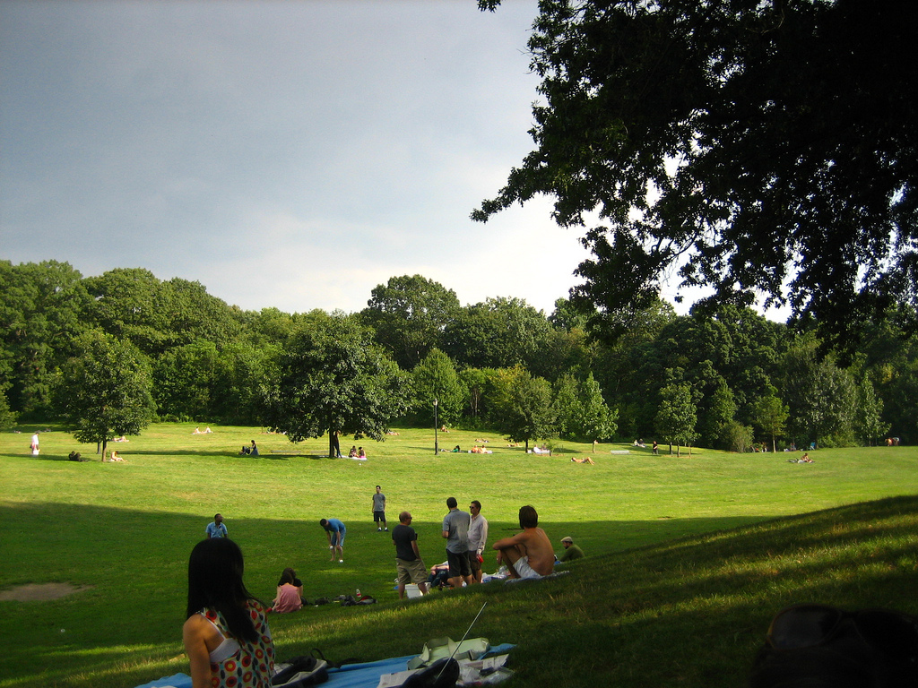 User Study and Census: Prospect Park, Brooklyn; Van Cortlandt and Pelham Bay Parks, Bronx